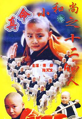 真命小和尚之十二铜人第09集