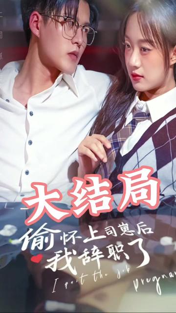 偷怀上司崽后，我辞职了21-40集