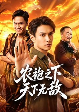 农袍之下天下无敌(全集)