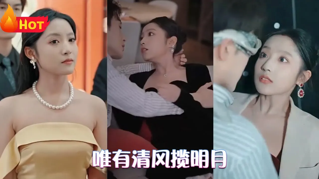 唯有清风揽明月全集(大结局)