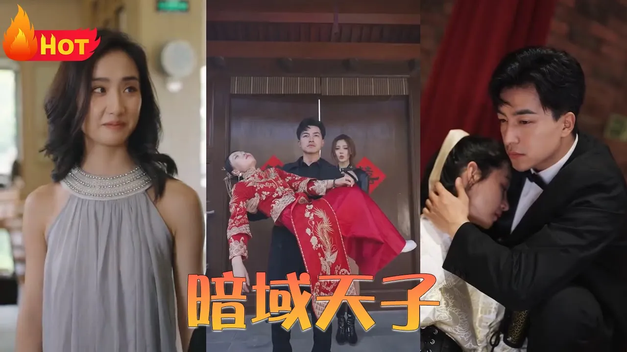 暗域天子全集(大结局)