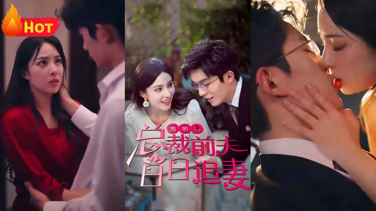 离婚后总裁前夫日日追妻全集(大结局)