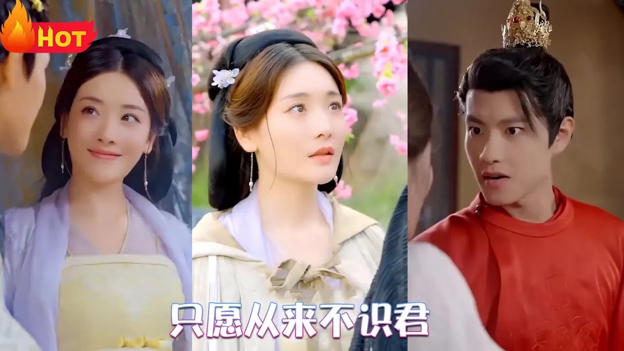 只愿从来不识君全集(大结局)